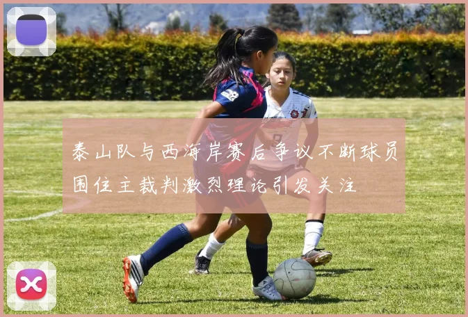 泰山队与西海岸赛后争议不断球员围住主裁判激烈理论引发关注