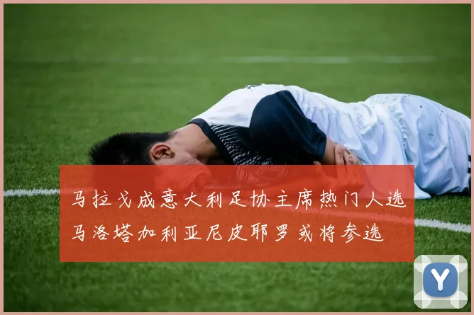 马拉戈成意大利足协主席热门人选马洛塔加利亚尼皮耶罗或将参选